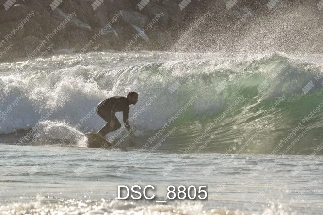DSC_8805.jpg