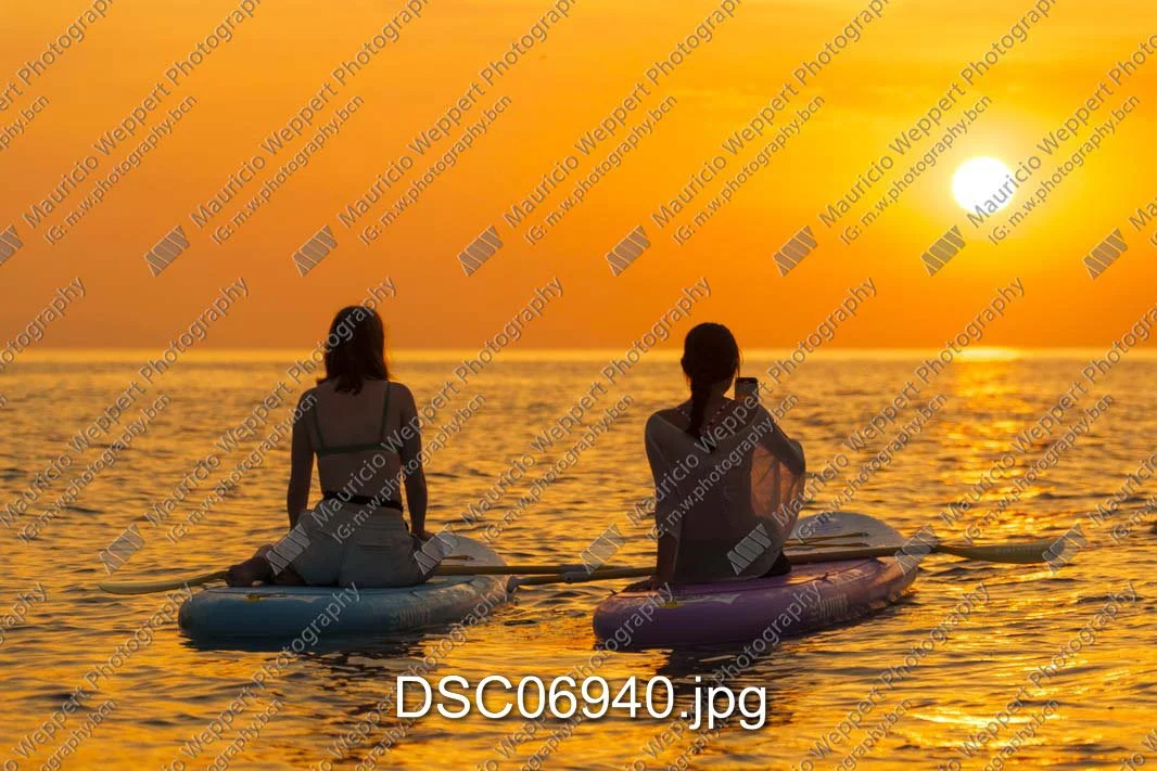DSC06940.jpg