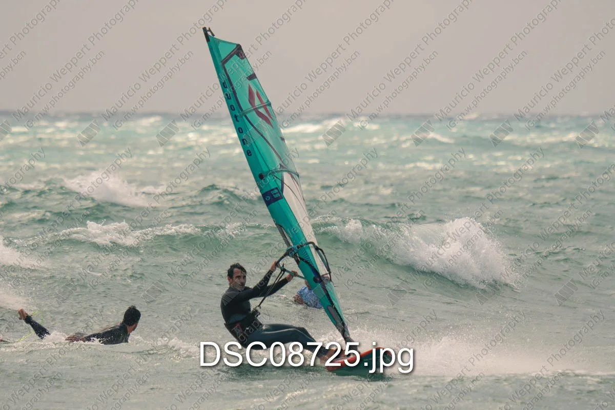 DSC08725.jpg