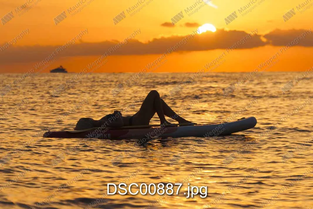 DSC00887.jpg
