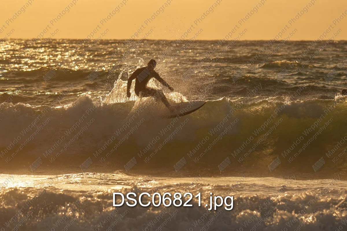 DSC06821.jpg