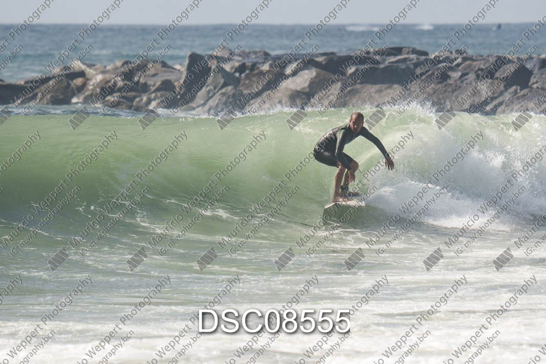 DSC08555.jpg