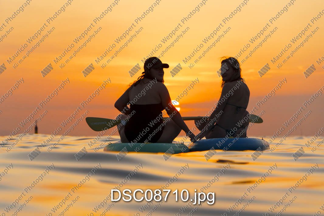 DSC08710.jpg