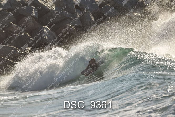 DSC_9361.jpg