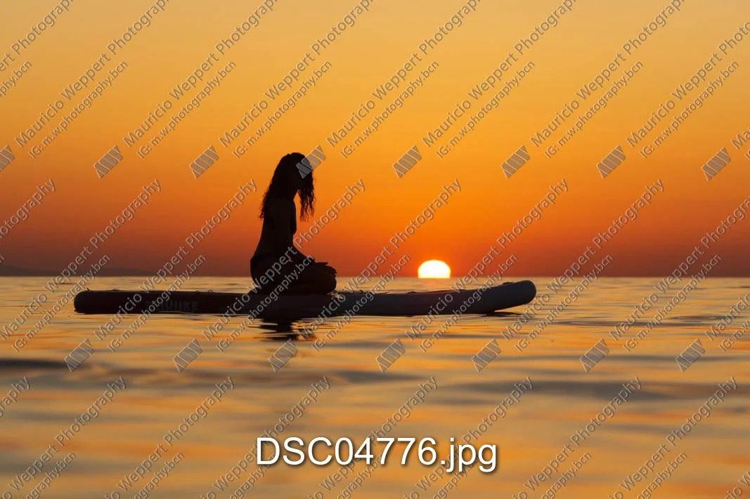 DSC04776.jpg