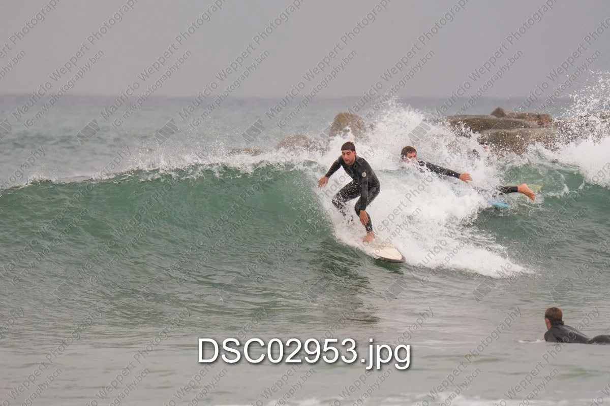 DSC02953.jpg