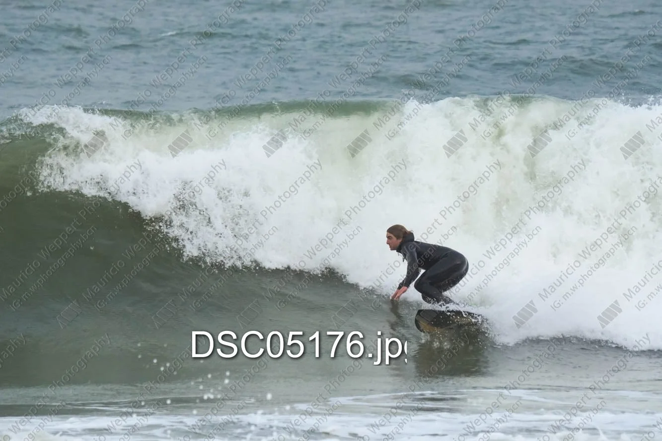 DSC05176.jpg