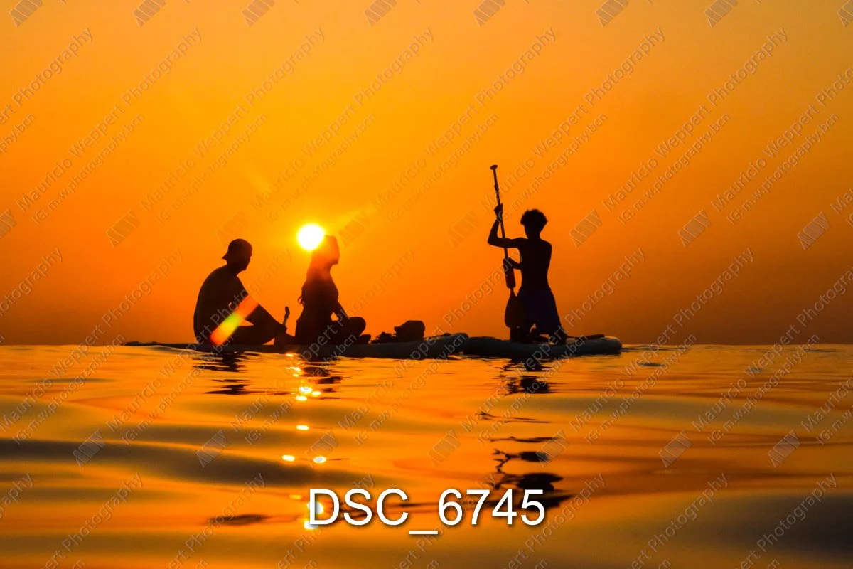 DSC_6745.jpg