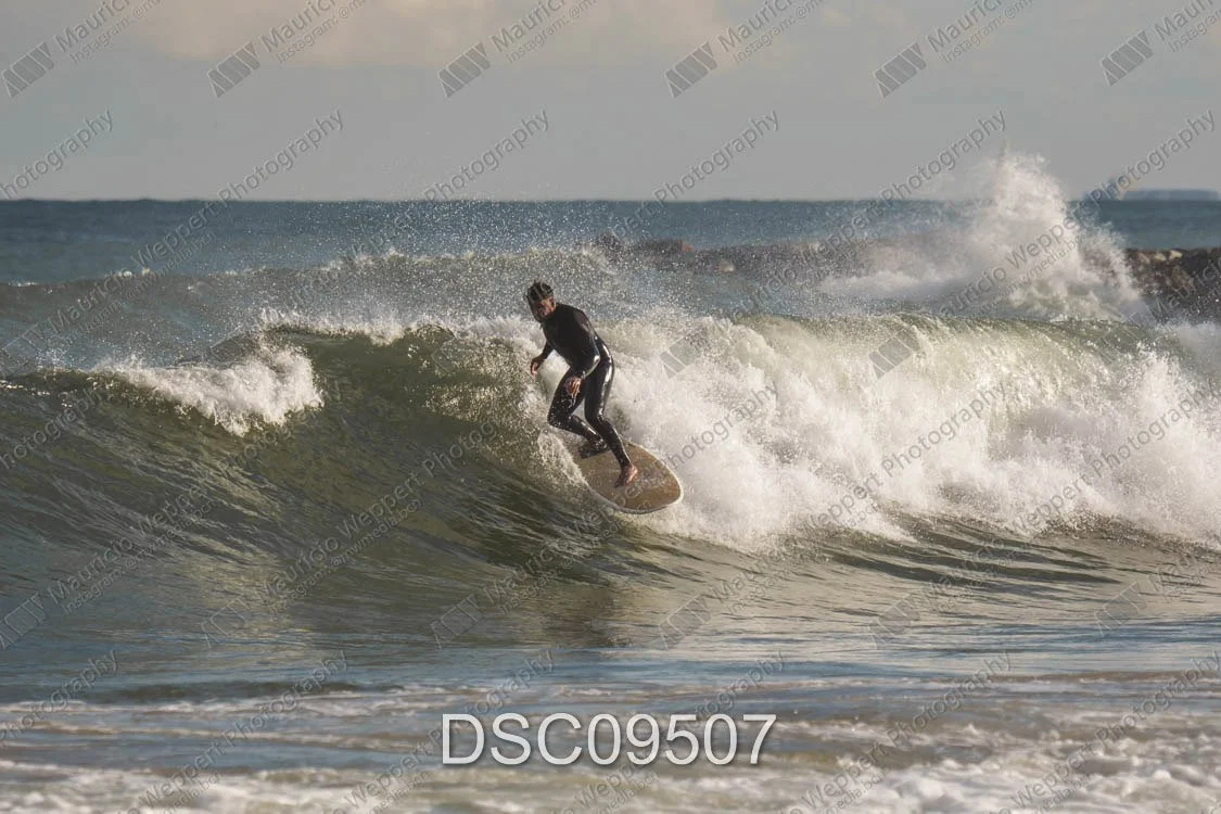 DSC09507.jpg