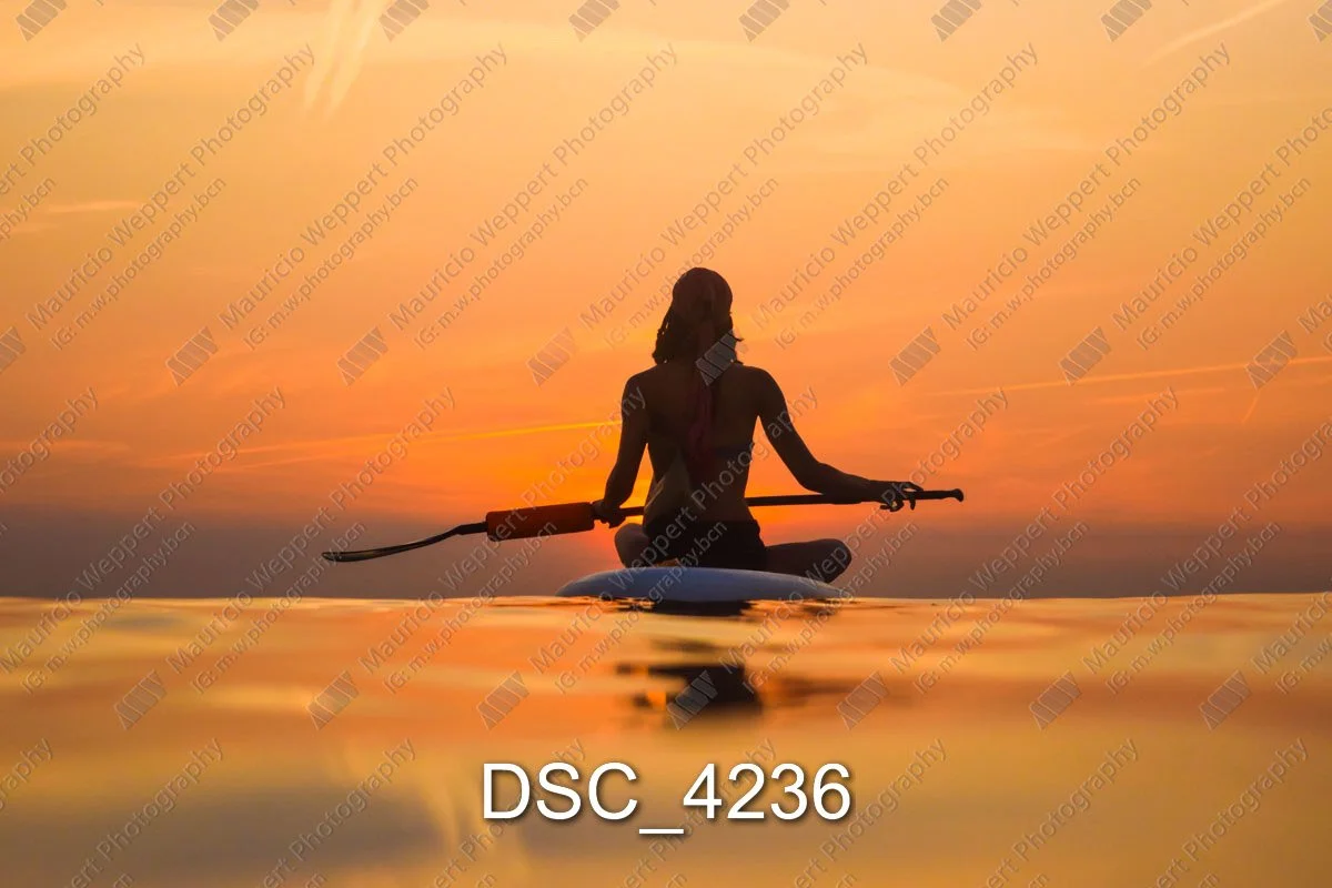 DSC_4236.jpg