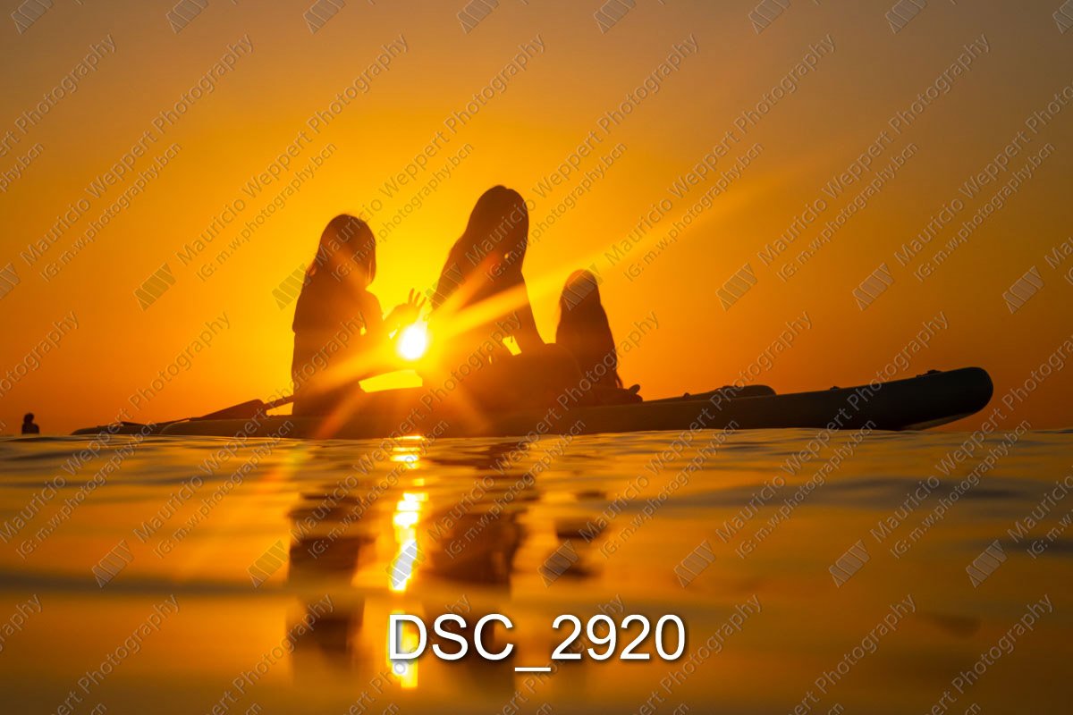 DSC_2920.jpg