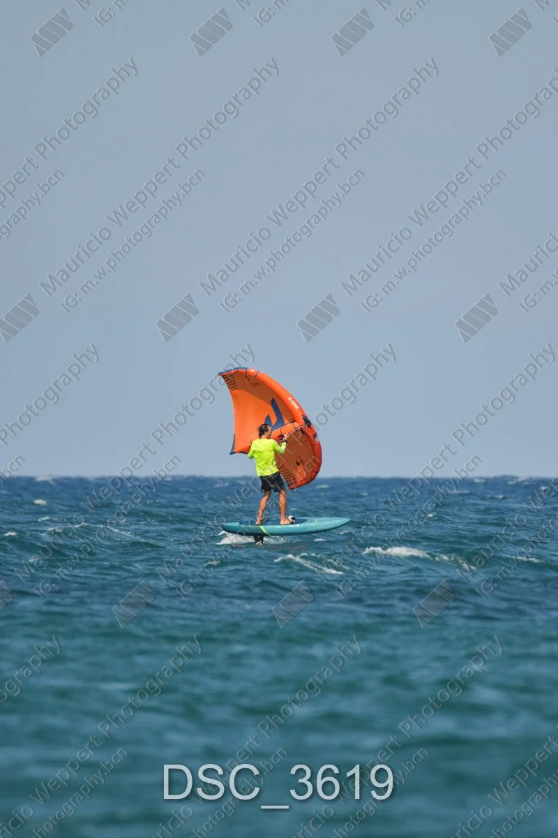 DSC_3619.jpg