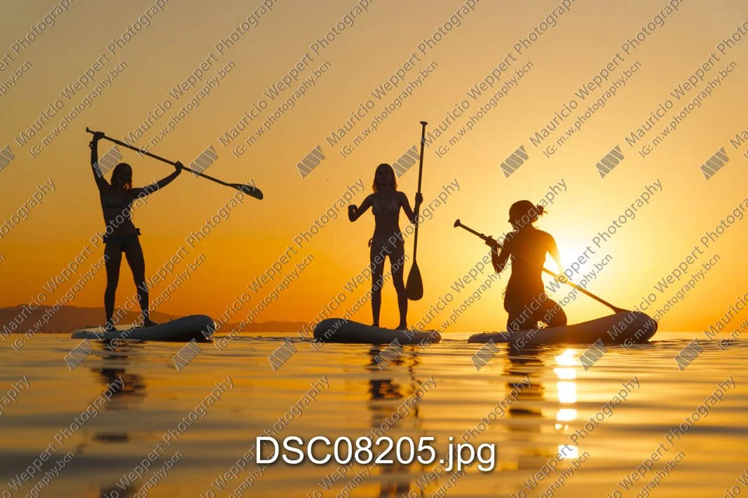 DSC08205.jpg