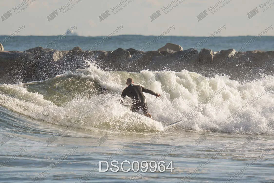 DSC09964.jpg