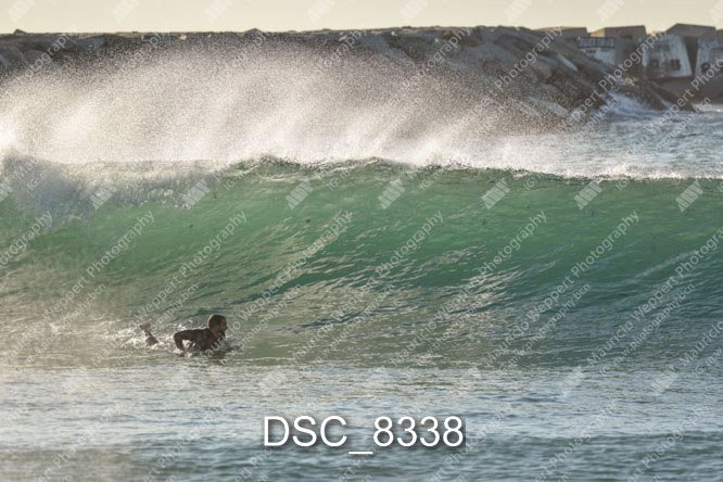 DSC_8338.jpg