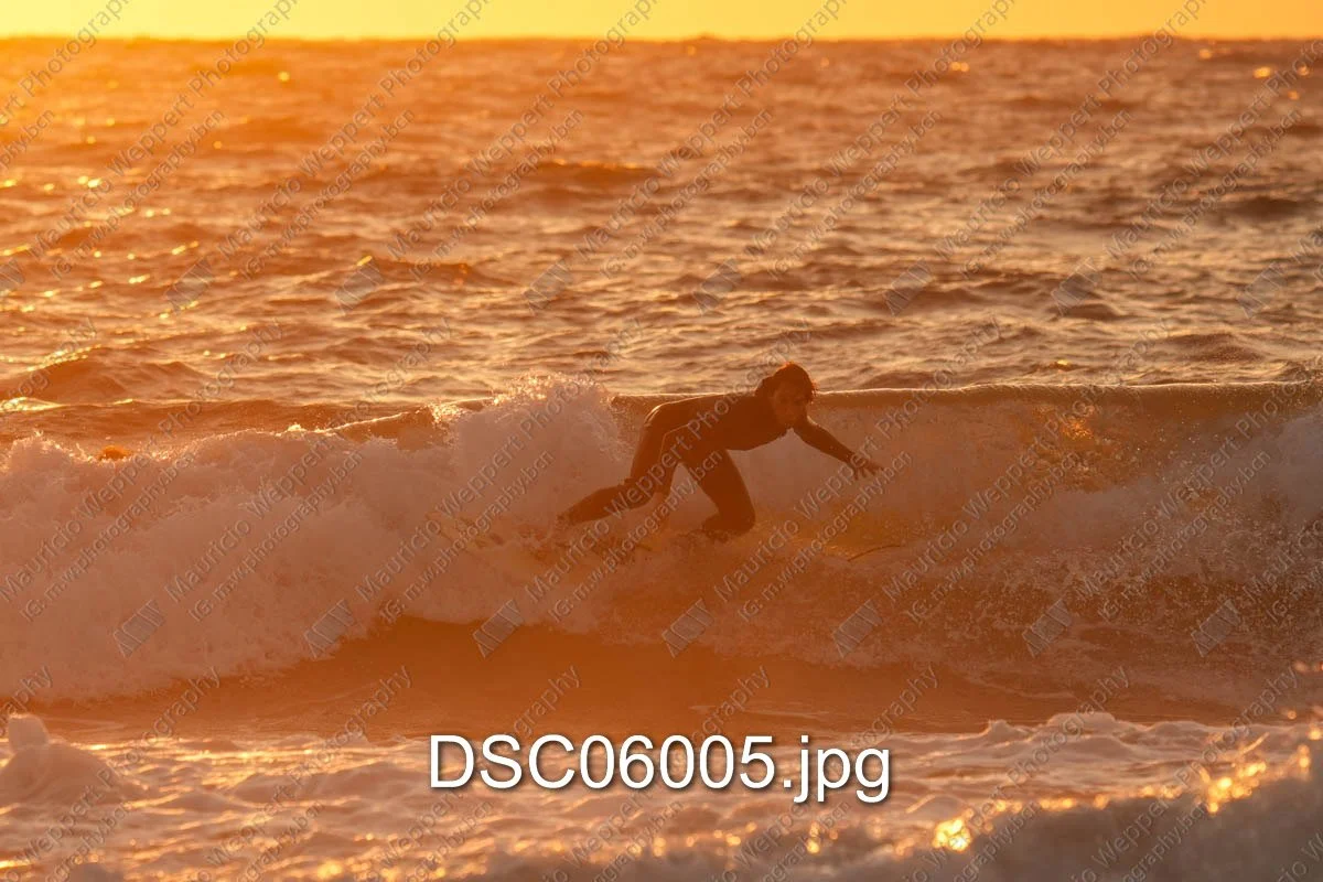 DSC06005.jpg