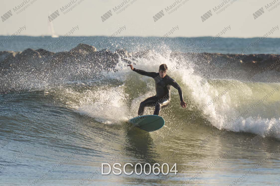 DSC00604.jpg