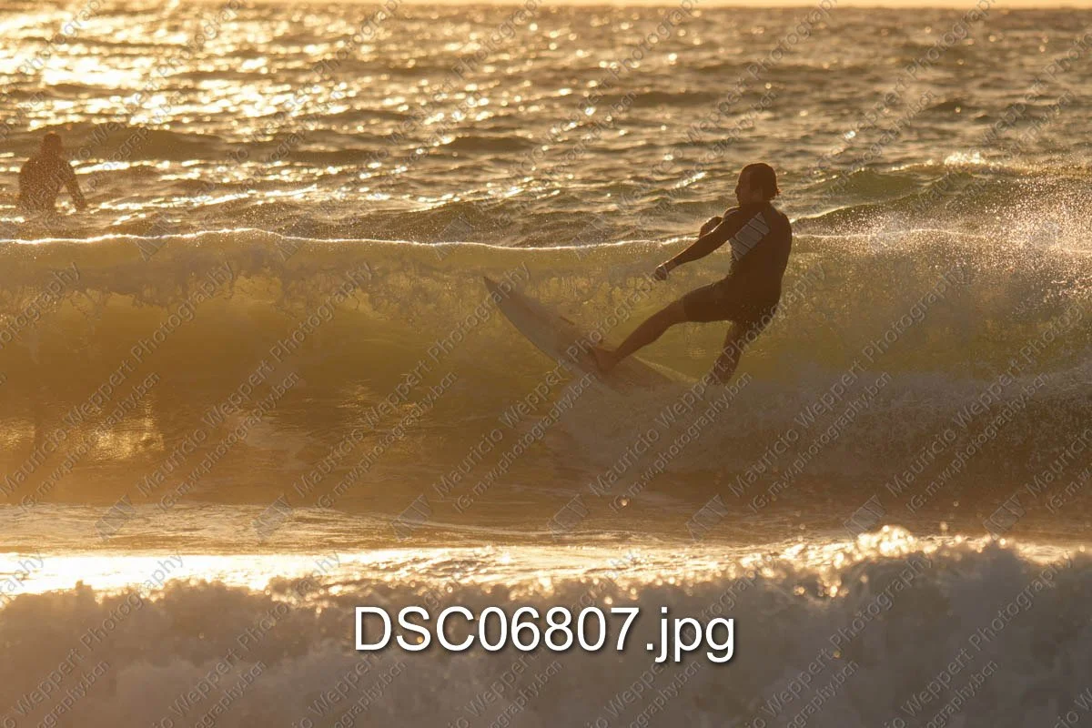 DSC06807.jpg