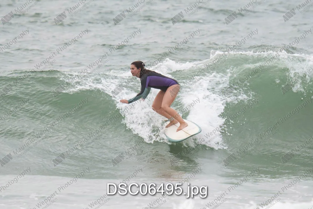 DSC06495.jpg