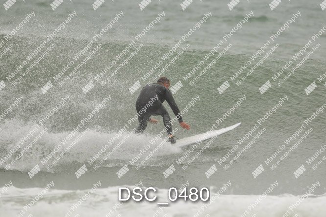 DSC_0480.jpg