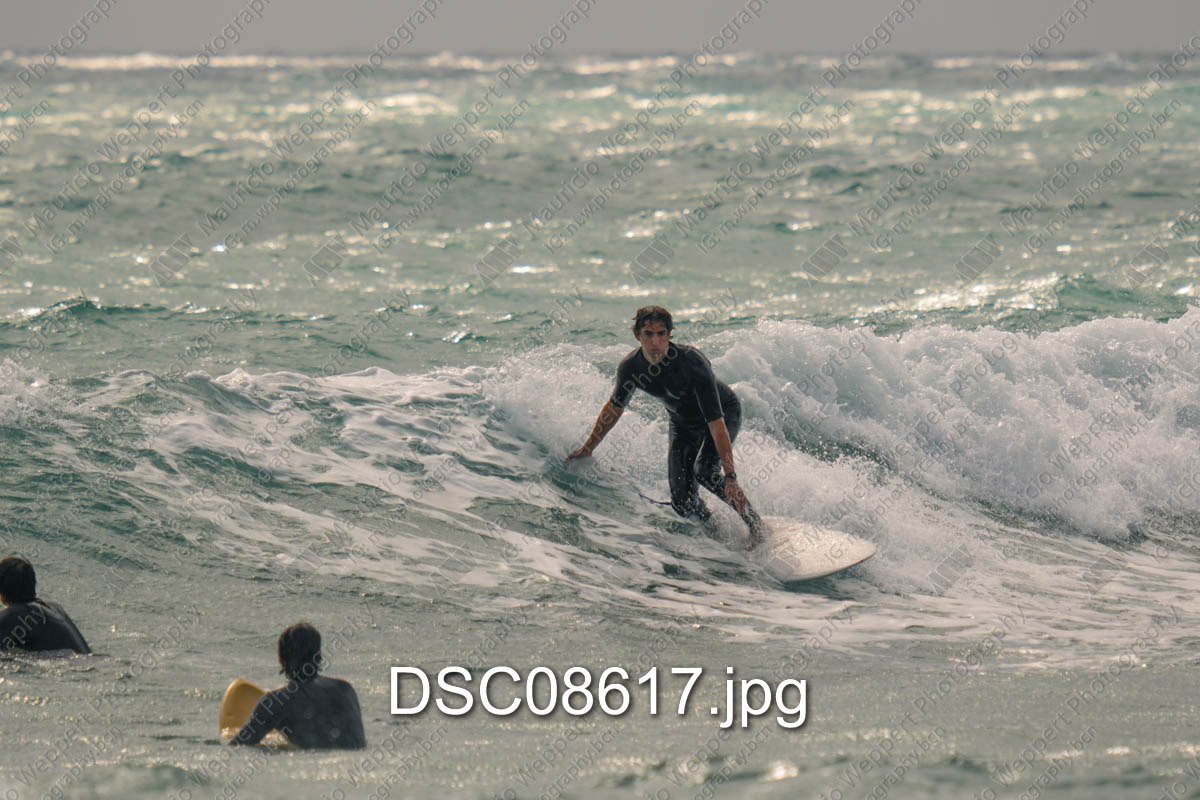 DSC08617.jpg