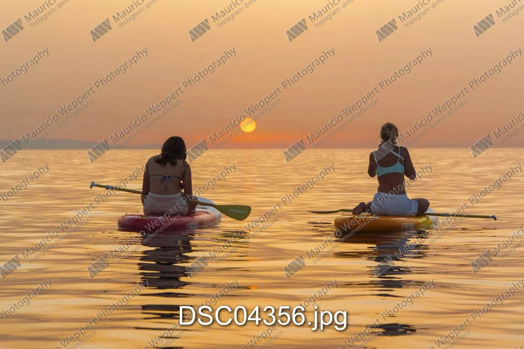 DSC04356.jpg