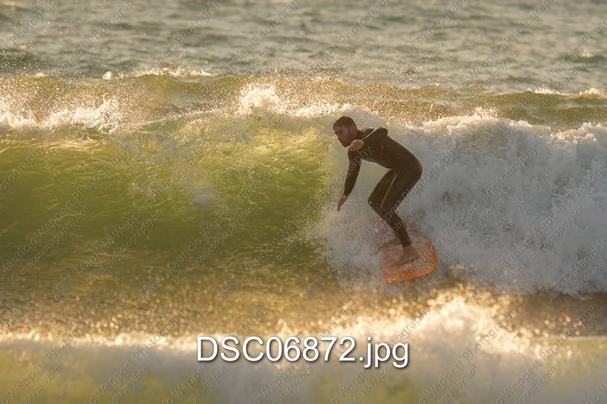 DSC06872.jpg