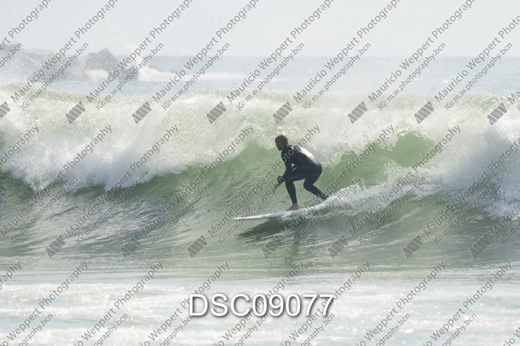 DSC09077.jpg