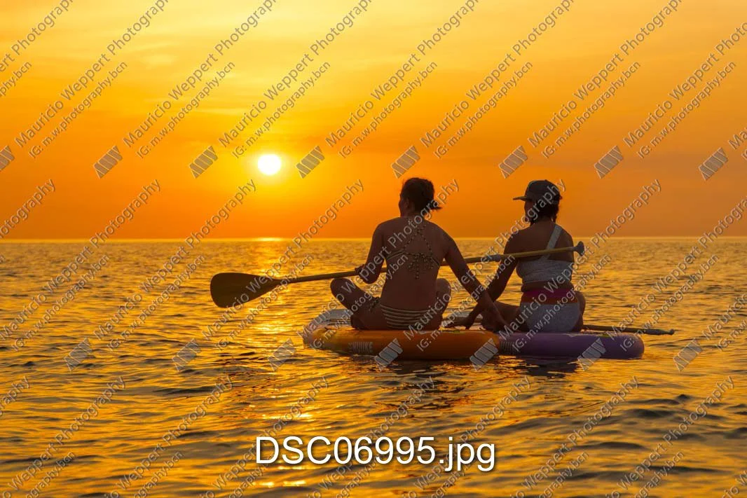 DSC06995.jpg