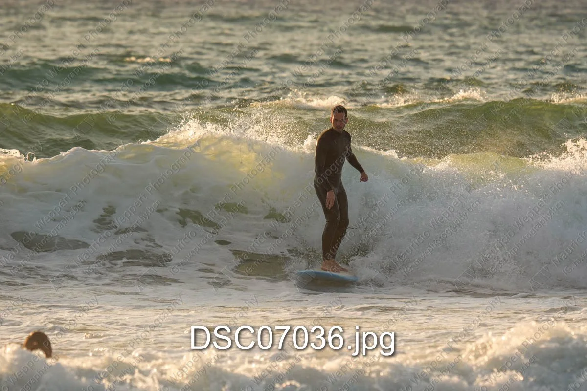 DSC07036.jpg