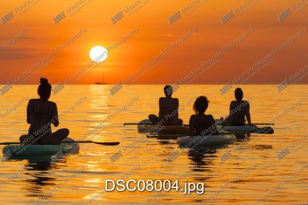 DSC08004.jpg