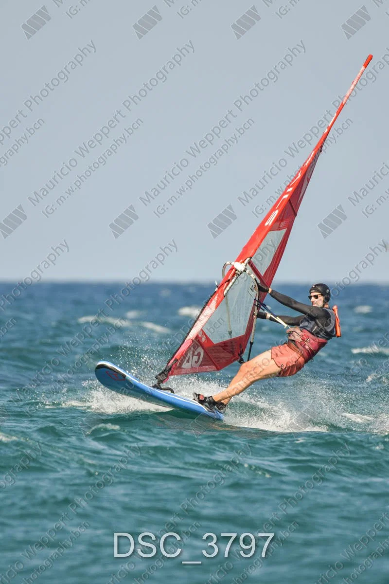 DSC_3797.jpg