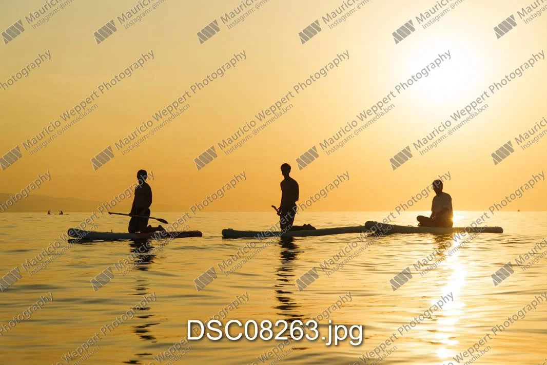 DSC08263.jpg