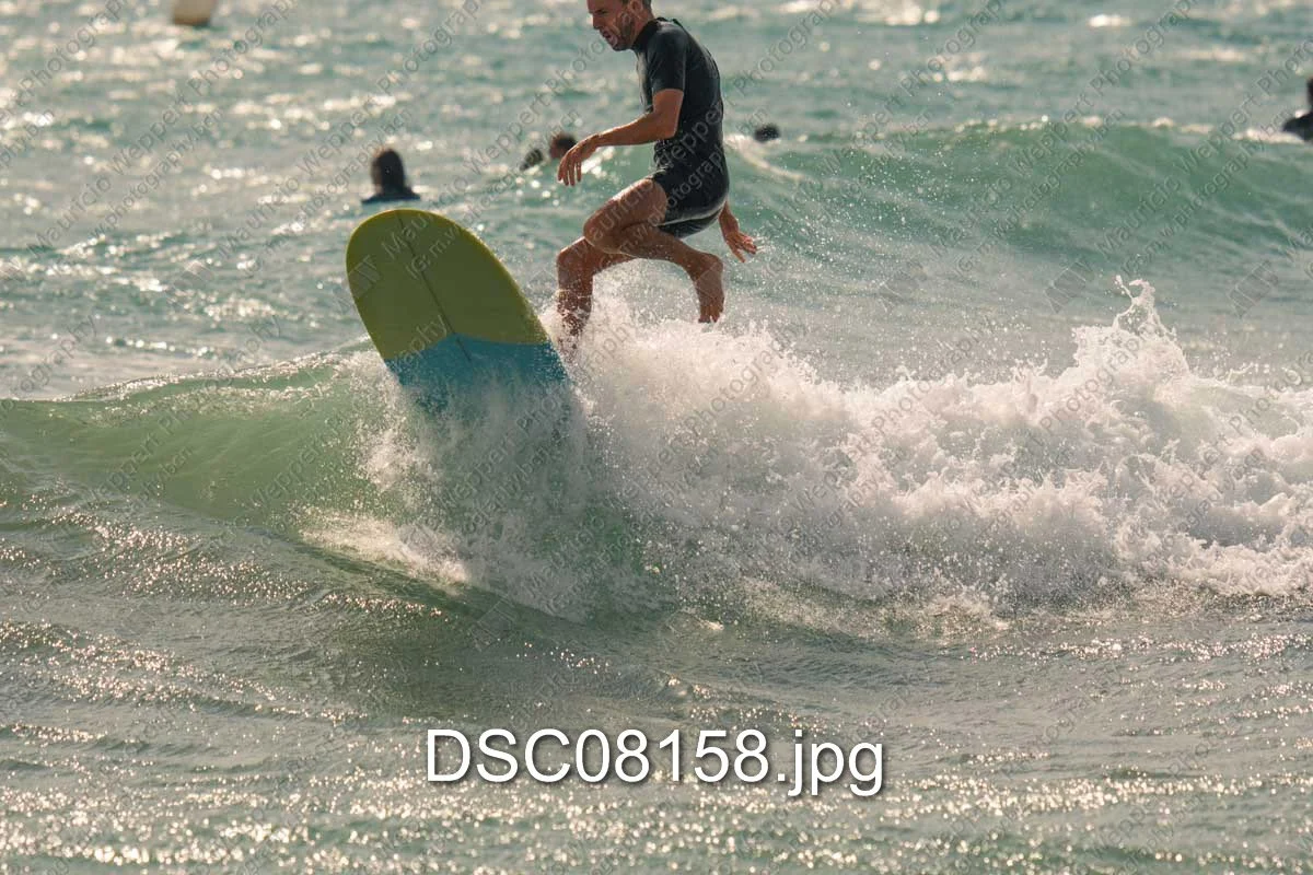 DSC08158.jpg