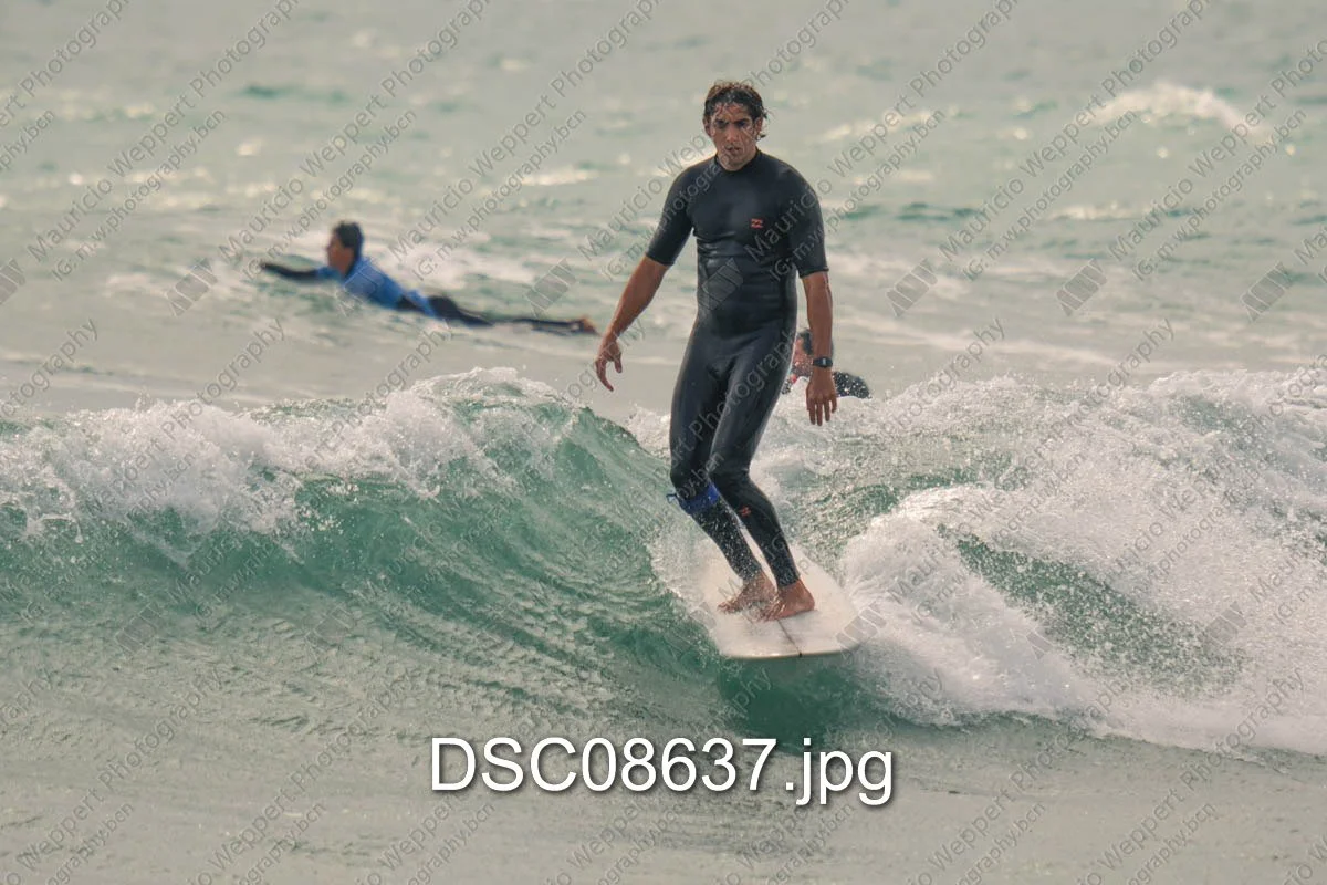 DSC08637.jpg