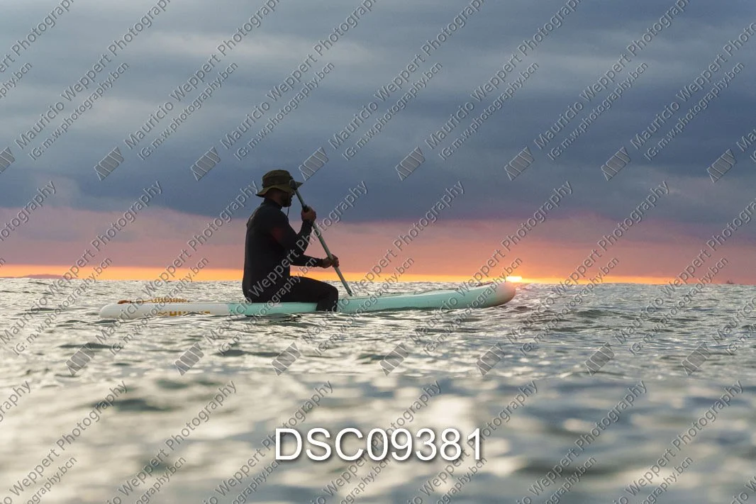 DSC09381.jpg