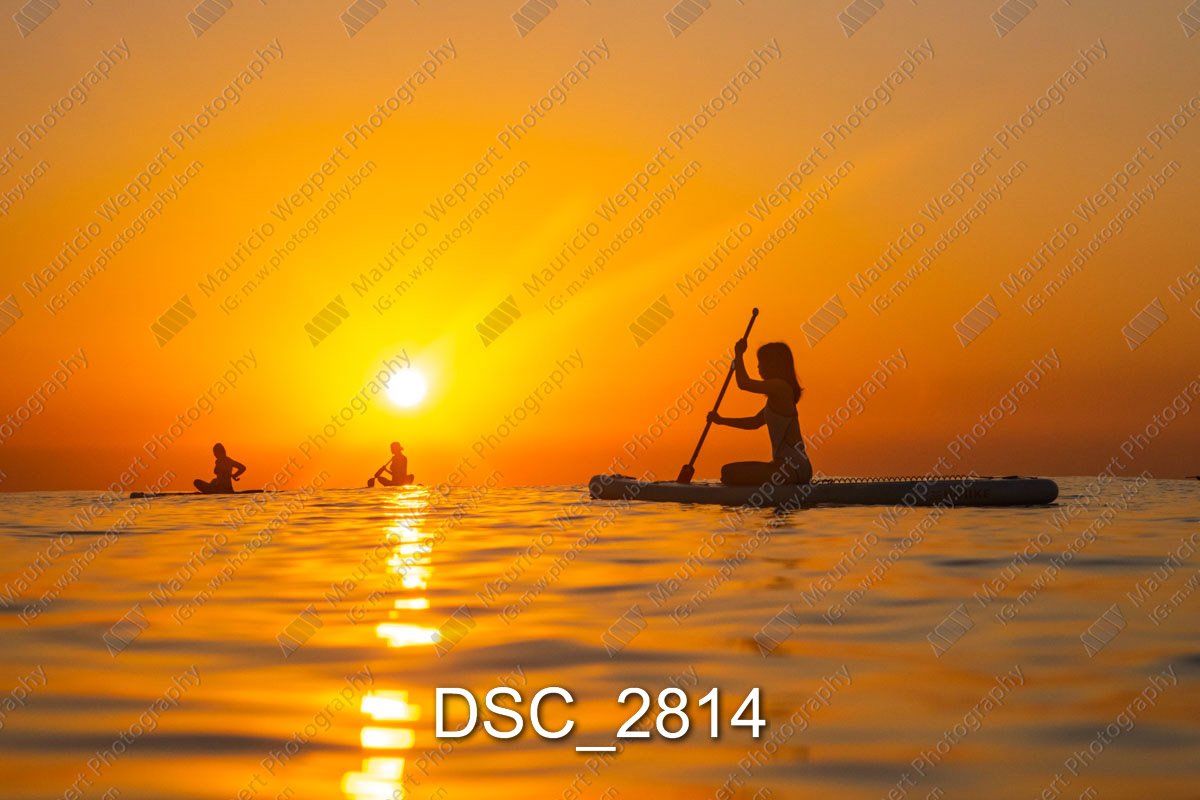 DSC_2814.jpg