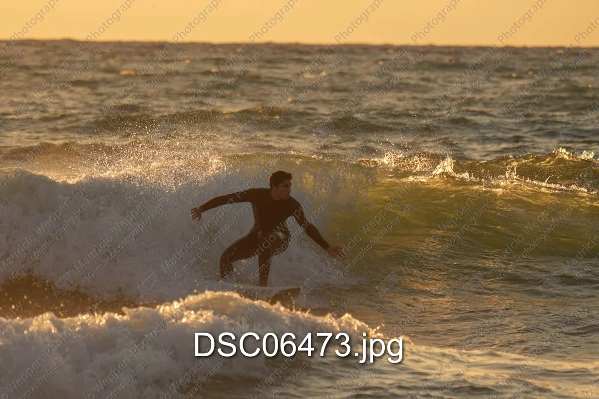 DSC06473.jpg