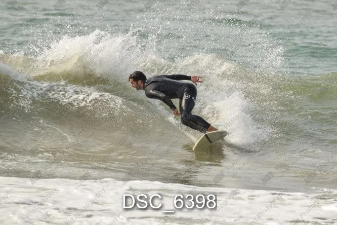 DSC_6398.jpg