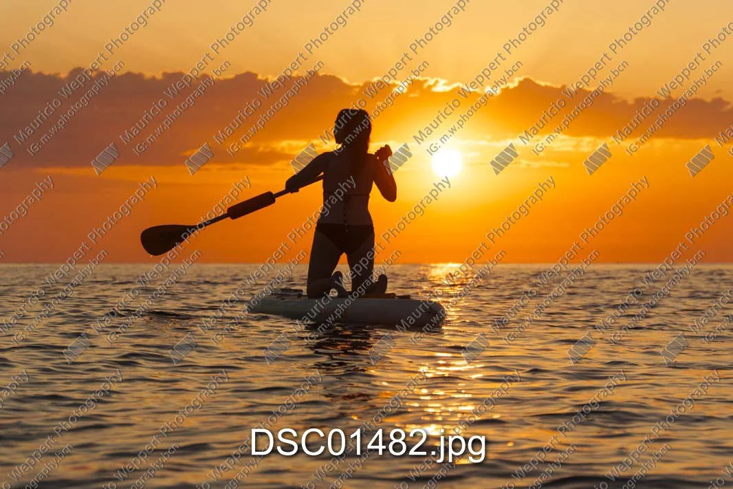 DSC01482.jpg