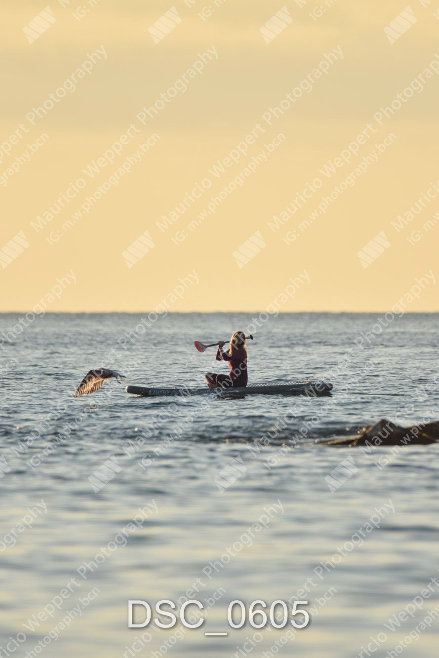 DSC_0605.jpg