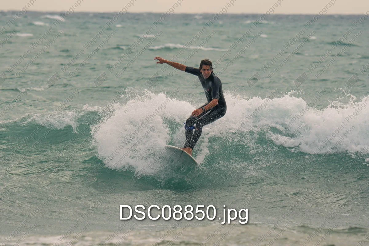DSC08850.jpg