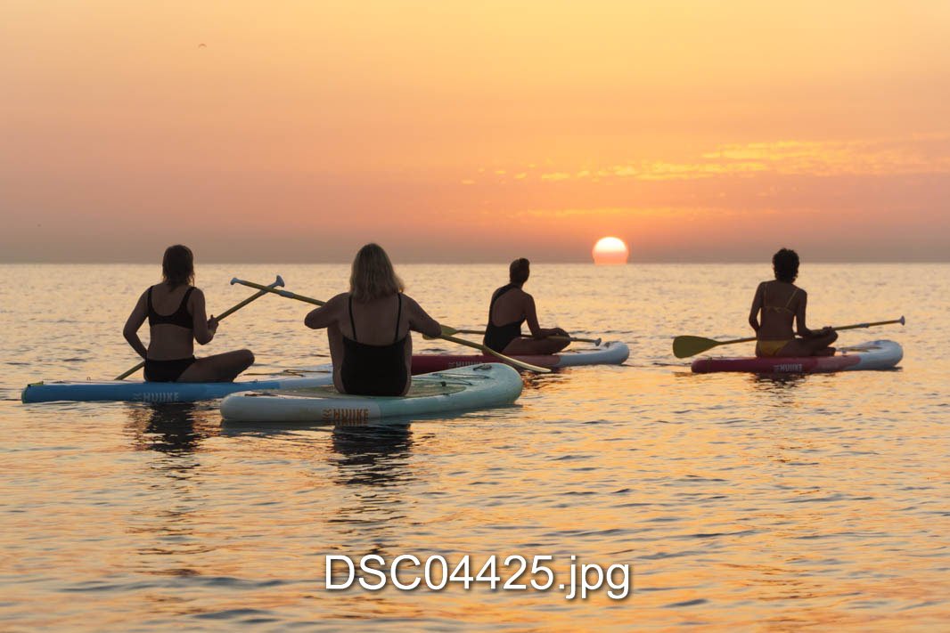 DSC04425.jpg