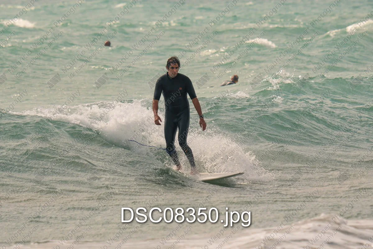 DSC08350.jpg