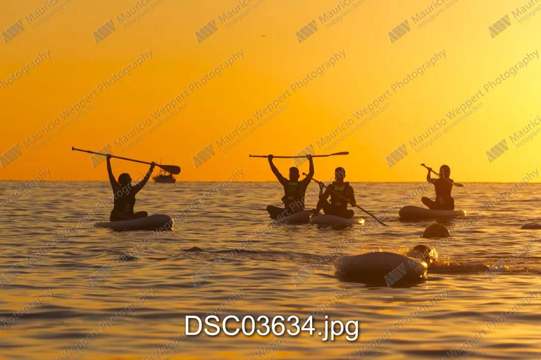 DSC03634.jpg