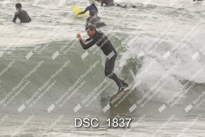 DSC_1837.jpg