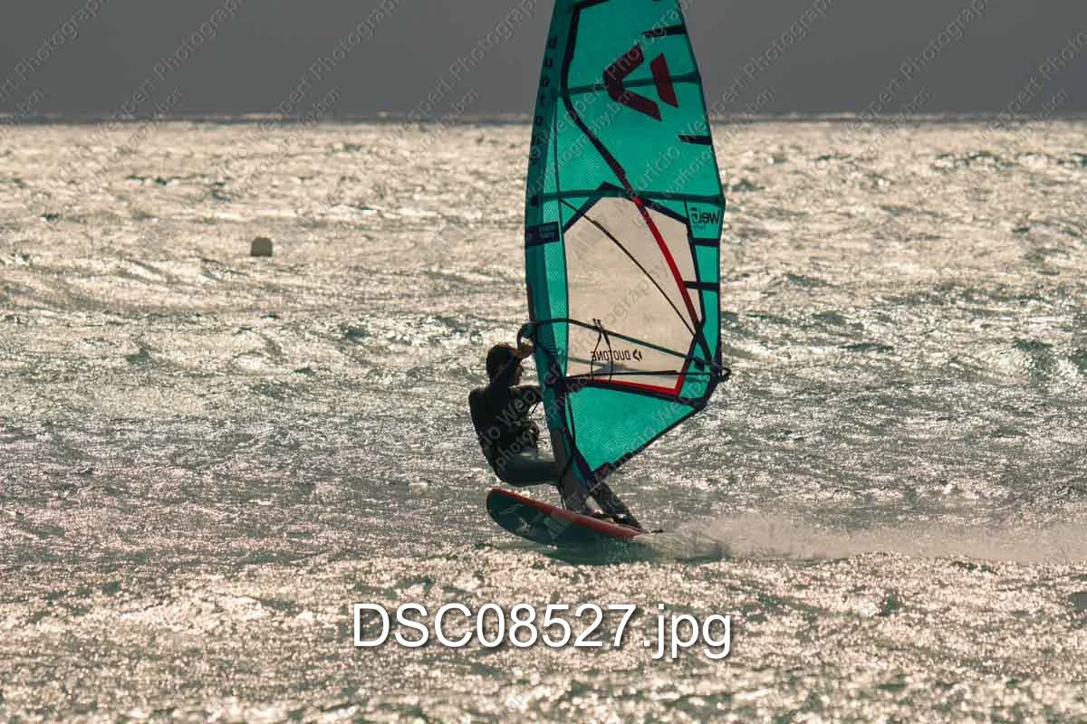 DSC08527.jpg