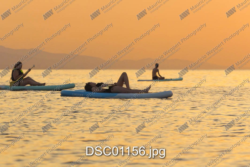 DSC01156.jpg