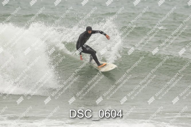 DSC_0604.jpg