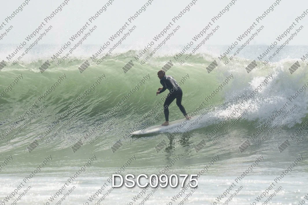 DSC09075.jpg